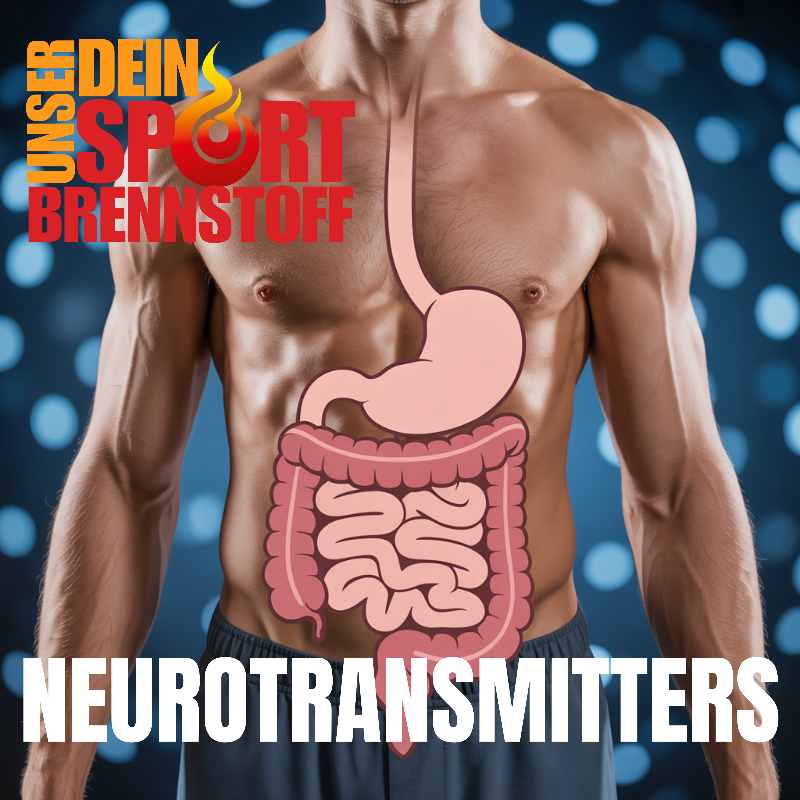 Neurotransmitter aus dem Darm – Schlüssel zur mentalen Balance und sportlichen Power