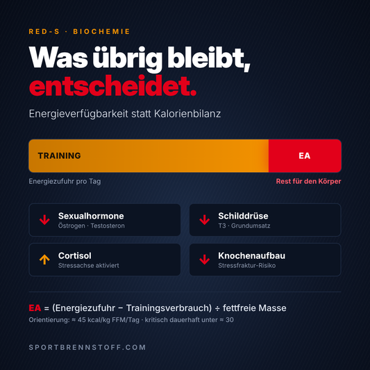 Grafik zur Energieverfügbarkeit: Nach dem Trainingsverbrauch bleibt wenig Energie, Sexualhormone, Schilddrüse und Knochenaufbau sinken, Cortisol steigt