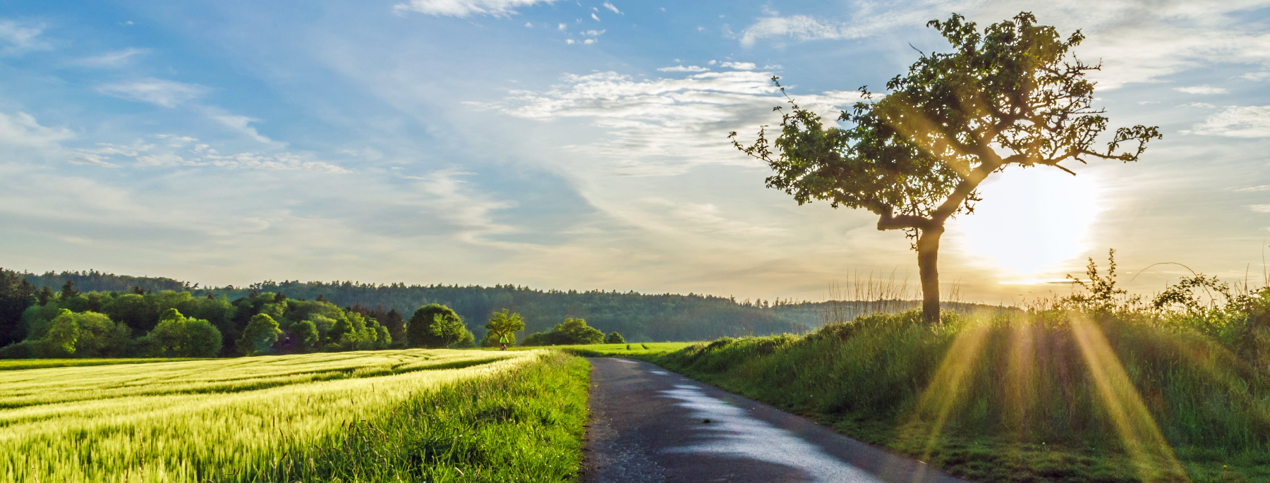 Strasse im Sonneruntergang