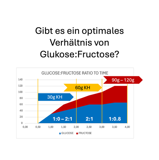 Gibt es ein optimales Glukose:Fruktose Verhältnis?