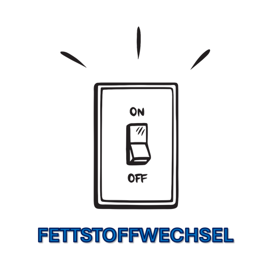 Metabolismus Schalter