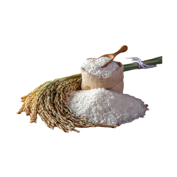 Reisprotein Isolat